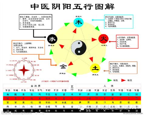 剋金|五行相生相剋:五行,四季五行,相生相剋,概念對應,五行。